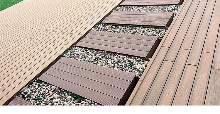 photobank 6 photobank 6